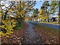 Path along the A451 Stourport Road