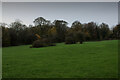 Looking towards Lime Pits Wood