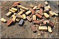 NZ3091 : Sea worn bricks by Leanmeanmo