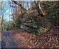 Rock outcrop beside path