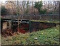 Footbridge over South Calder