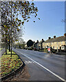 November sunlight, Brooks Road