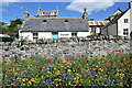 More wildflowers by the wall, Portsoy