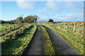 Bend along Magherenny Road