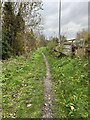 Path between the A34 and Pearl Brook