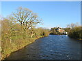 River Derwent, Cockermouth