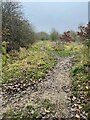 Footpath towards Ilkeston