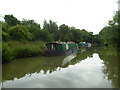 Narrow boats moored on the Kennet & Avon Canal by Wildbrook Wood