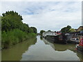 Narrow boats on the Kennet & Avon Canal at Hilperton