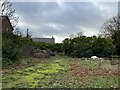 SJ9223 : Neglected corner of St George's Hospital site by Jonathan Hutchins