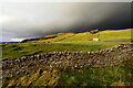 SD8891 : Sedbusk High Pasture by Andy Waddington
