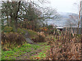 Link path from Galashiels golf course