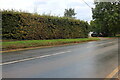 Main Road, Lacey Green