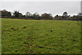 Footpath across field