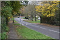 Falkland Road, adjacent to North End Nature Park