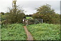 Footpath, Eastbrookend Country Park