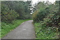 Footpath, Beam Valley Country Park