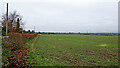 Staffordshire farmland near Bishopswood