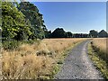 New path - Hawley Farm Open Space