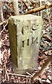 Old Boundary Marker on the Calder and Hebble Canal at Thornhill Lees