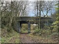 SJ7949 : Footbridge over former railway line by Jonathan Hutchins