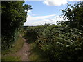 Public bridleway off Wood Lane, Church Warsop (1)