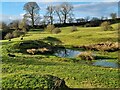 Field near Shellbraes Farm