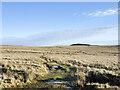 NY9836 : Quad bike route crossing grassy moorland west of B6278 by Trevor Littlewood