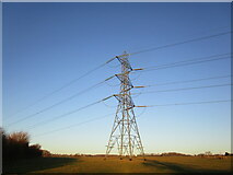 SK7111 : Electricity pylon near Ashby Folville by Jonathan Thacker