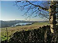 A view of Bollinhurst Reservoir