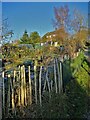 Suburban scene at Higher Disley