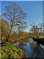 The River Goyt at Hague Bar