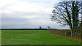 Pasture and footpath west of Bishopswood, Staffordshire