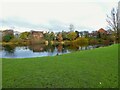 Pond in green oasis