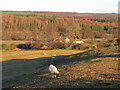 View to Low Wanlass