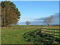 Footpath towards Warsill Hall Farm