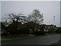 A wintry scene in Lower Farnham Road