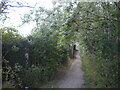 Public footpath behind Egmanton Road, Meden Vale (1)