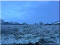 Snowy field in Winterborne Houghton