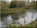 Looking across a pond towards houses in Jubilee Road