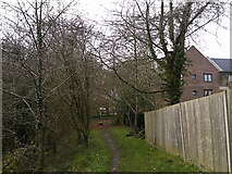 SU8649 : Boundary fence between Brickfields Park and Century Lodge by Basher Eyre