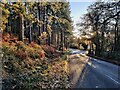 Kingsford Lane at Blakeshall Common