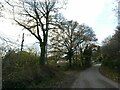 Road through the valley between St Dominick and Radland