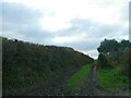 Farm track north of Lanoyce Nurseries