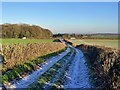 Snow covered bridleway