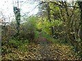 Footpath at New Earswick