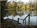 New Earswick Nature Reserve ? The pool from the south bank