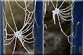 H4772 : Frosty cobwebs, Cranny by Kenneth  Allen