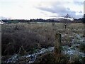 Field, Dalrannoch