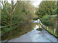 Puddle on Ferry Lane, Medmenham